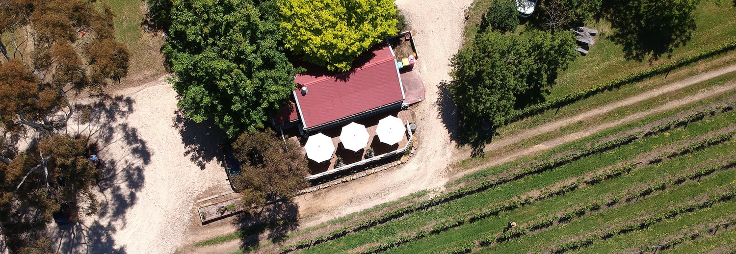 Ashton Hills Vineyard
